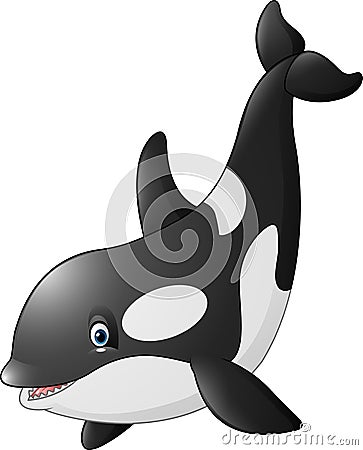 Cute orca on white background Vector Illustration