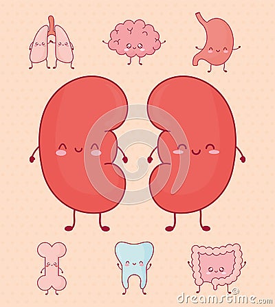 cute organs bundle Vector Illustration