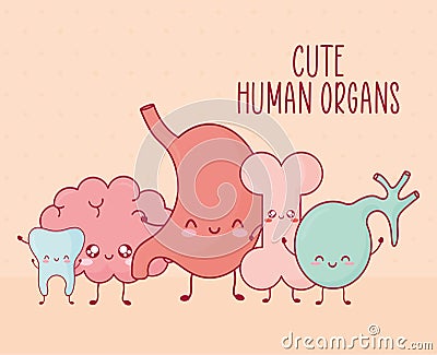 cute organs poster Vector Illustration