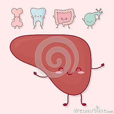 cute organs set Vector Illustration