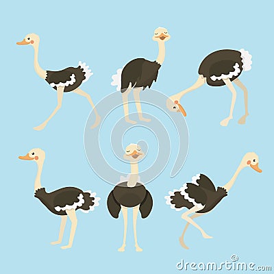 Cute ostrich cartoon collection set. Vector Illustration