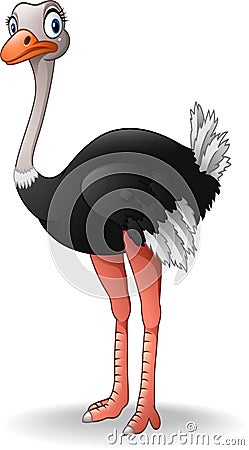 Cute ostrich cartoon Vector Illustration