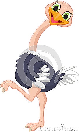 Cute ostrich cartoon Vector Illustration