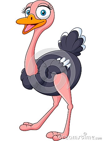 Cute ostrich posing isolated on white background Vector Illustration