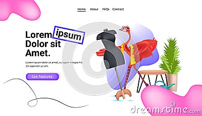 cute ostrich tailor fashion clothes dress designer cute bird horizontal copy space Vector Illustration