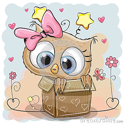 Cute Owl in a box Vector Illustration