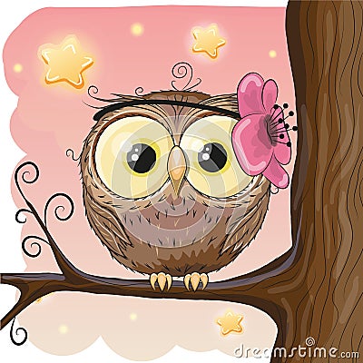 Cute Owl on a brunch Vector Illustration