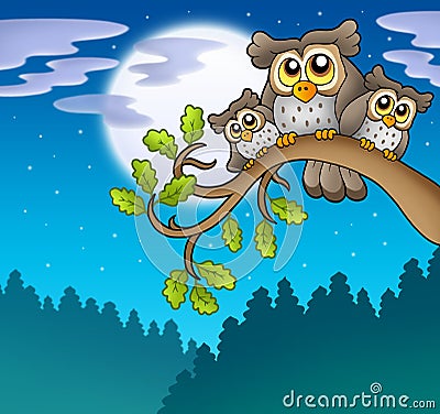 Cute owls on branch at night Cartoon Illustration
