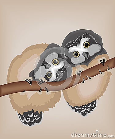 Cute owls Vector Illustration