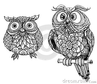 Cute owls Vector Illustration