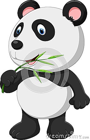 Cute panda cartoon Cartoon Illustration