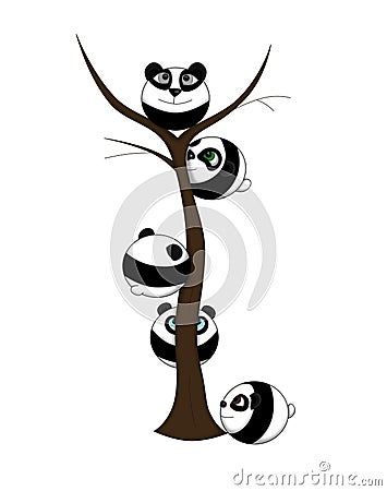 Cute pandas climbed a tree Stock Photo