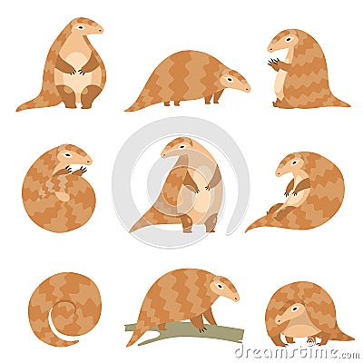 Cute Pangolin Animal in Various Poses Set, Rare Species of Animals Cartoon Vector Illustration Vector Illustration