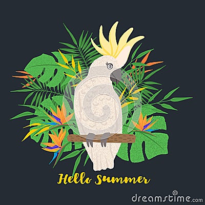 Cute parrot cockatoo on a floral background Vector Illustration