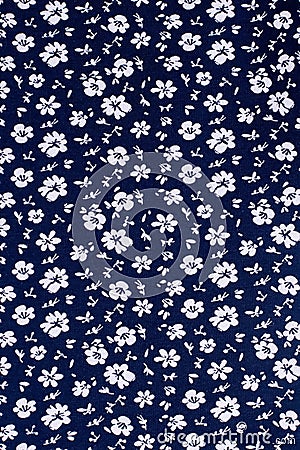 Cute pattern in small white flower. Stock Photo