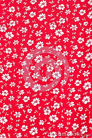 Cute pattern in small white flower. Stock Photo