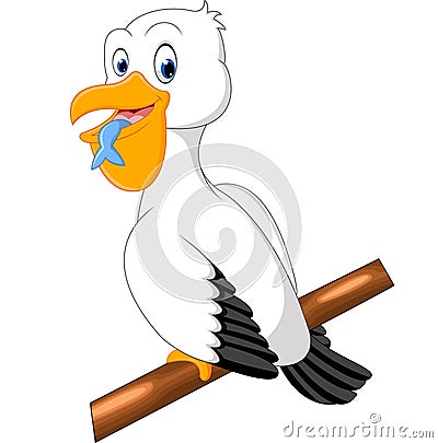 Cute pelican cartoon Vector Illustration