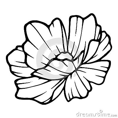 Cute peony garden flower icon, hand drawn style Cartoon Illustration
