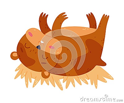 Cute pet hamster sleeping on straw, funny brown rodent pet animal cartoon vector illustration Vector Illustration