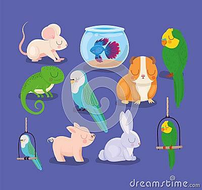 cute pets group Vector Illustration
