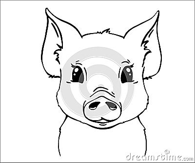 Cute pig face children's t-shirt print. Baby cute farm vector illustration Vector Illustration