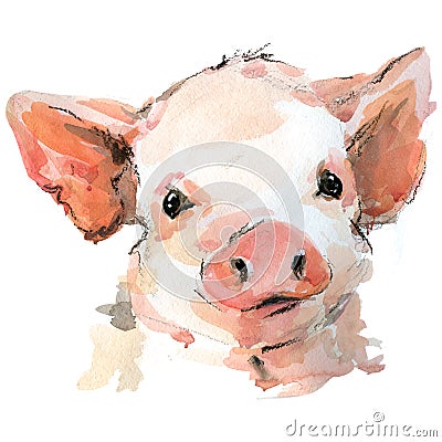 Cute pig watercolor illustration. baby animals series Cartoon Illustration