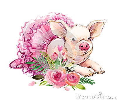 Cute pig watercolor illustration Cartoon Illustration