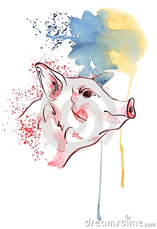 Cute pig in watercolour spots. Watercolor Symbol zodiac sign. Cartoon Illustration