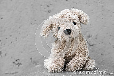 Cute plush dog on a grey background Stock Photo