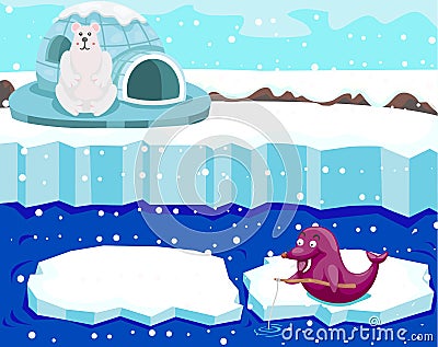 Cute polar bear watching seal fishing Vector Illustration