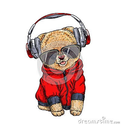 Cute pomeranian toy dog dressed in red hoodie Vector Illustration