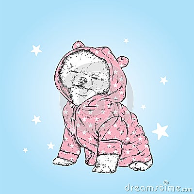 Cute pomeron spitz in pajamas. Vector illustration. Good night. A pedigreed dog in a suit. Little puppy. Vector Illustration