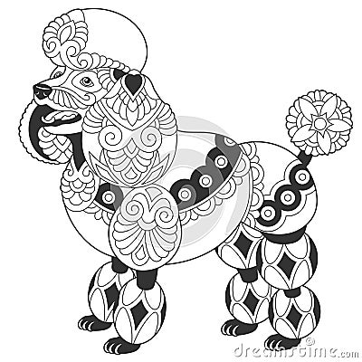 Cute poodle dog design Vector Illustration