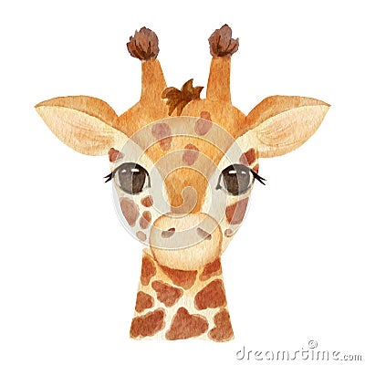 Cute portrait giraffe head in cartoon style. Drawing african baby wild face isolated on white background. Watercolor Stock Photo