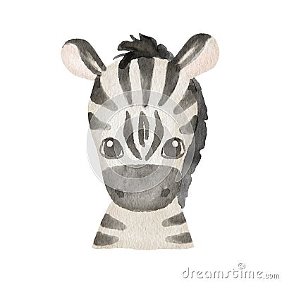 Cute portrait zebra head in cartoon style. Drawing african baby wild face isolated on white background. Watercolor sweet Stock Photo