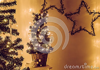 Cute potted Christmas tree decorated with wire micro led lights and small white decorative balls pom poms or felt ball garland. Stock Photo