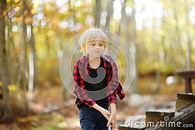 Cute preteen boy is on wooden playground in park or woodland on sunny autumn day. Activity on nature for family with children. Stock Photo