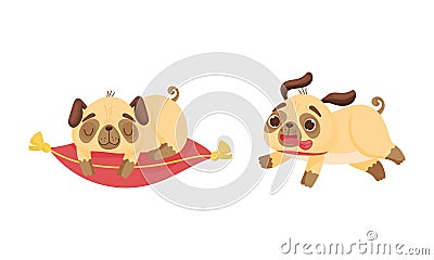 Cute Pug Dog Puppy Sleeping on Pillow and Running with Sticked Out Tongue Vector Set Vector Illustration