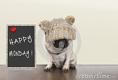 Cute pug puppy dog with bad monday morning mood, sitting next to blackboard sign with text happy monday, copy space Stock Photo
