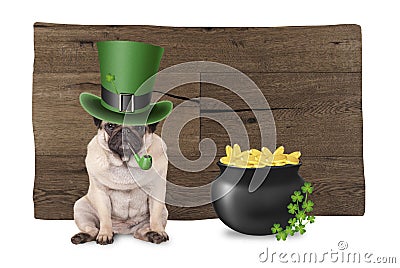 Cute pug puppy dog with st. patrick`s day hat and pipe sitting next to pot with gold and shamrock, on wooden background Stock Photo