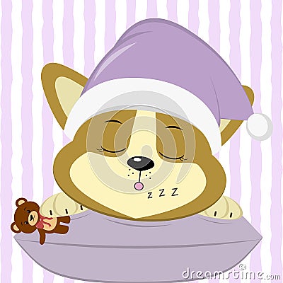 Cute puppy Corgi, in a pink hat, sleeps on a pillow and keeps a bear, on a striped background. Vector Illustration