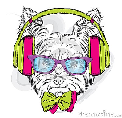 Cute puppy vector. Yorkshire terrier with headphones and sunglasses. Vector Illustration