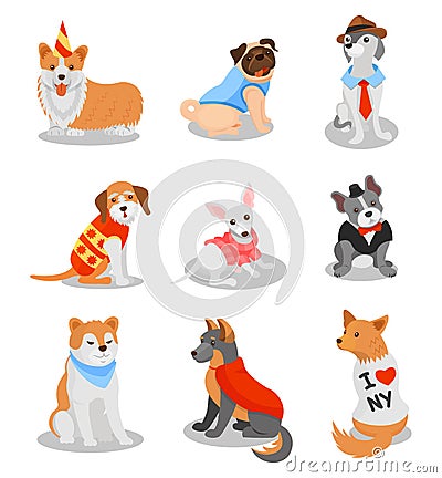 Cute purebred puppies set, pedigree dog characters vector Illustrations on a white background Vector Illustration