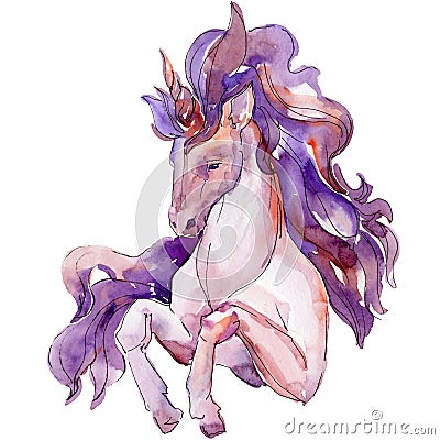 Cute purple unicorn horse isolated. White background illustration set. Fairytale children sweet dream. Cartoon Illustration