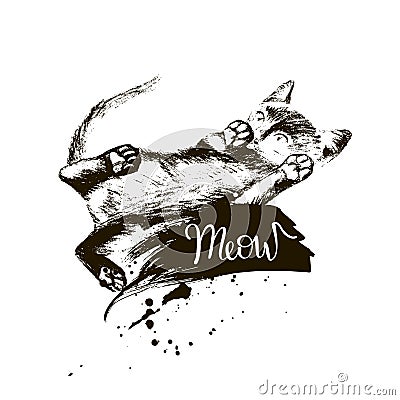 Drawing of the cat, inscription meow Vector Illustration