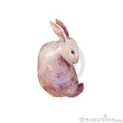 Cute rabbit drawing in watercolor Cartoon Illustration