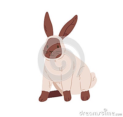 Cute rabbit of Siamese breed with spot on face. Portrait of adorable bunny animal. Spotty coney pet with funny muzzle Vector Illustration