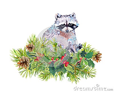 Cute raccoon animal in snowflakes. Pine tree twigs, christmas mistletoe. Watercolor Stock Photo