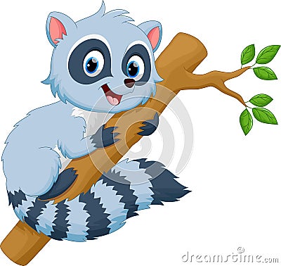 Cute raccoon cartoon Cartoon Illustration