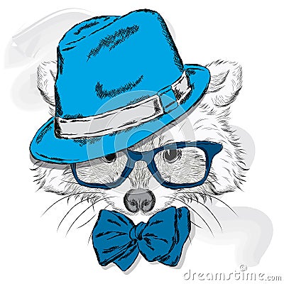 Cute raccoon with hat and sunglasses . Animal clothing. Vector Illustration